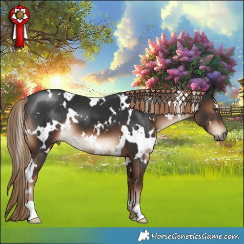Horse Color:White Spotted Liver Chestnut 