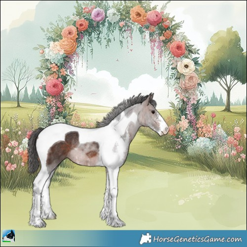 Horse Color:Bay Sabino Tobiano Rabicano 