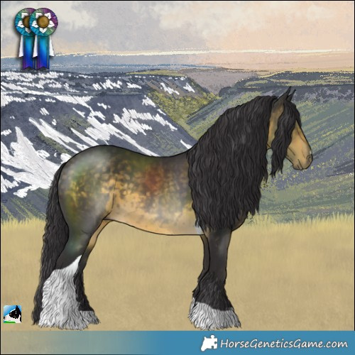 Horse Color:Buckskin Mushroom Tobiano 