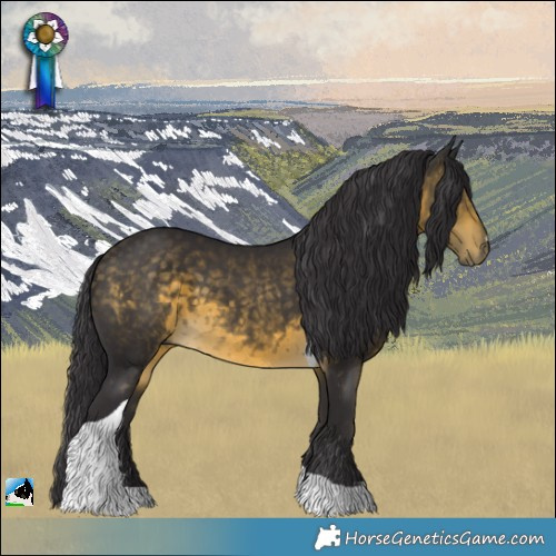 Horse Color:Buckskin Mushroom Tobiano 