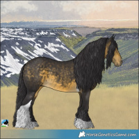 Horse Color:Buckskin Mushroom Tobiano 