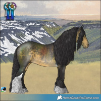Horse Color:Buckskin Mushroom Tobiano 
