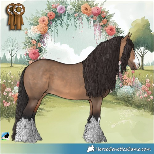 Horse Color:Brown Dun