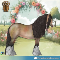 Horse Color:Brown Dun 