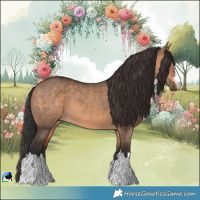 Horse Color:Brown Dun 