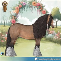 Horse Color:Brown Dun 