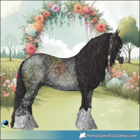 Horse Color:Smoky Black Ice Rabicano