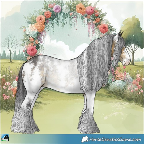 Horse Color:Buckskin Sabino Rabicano 