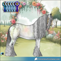 Horse Color:Buckskin Sabino Rabicano 