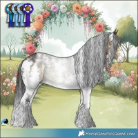Horse Color:Buckskin Sabino Rabicano 
