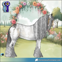 Horse Color:Buckskin Sabino Rabicano 