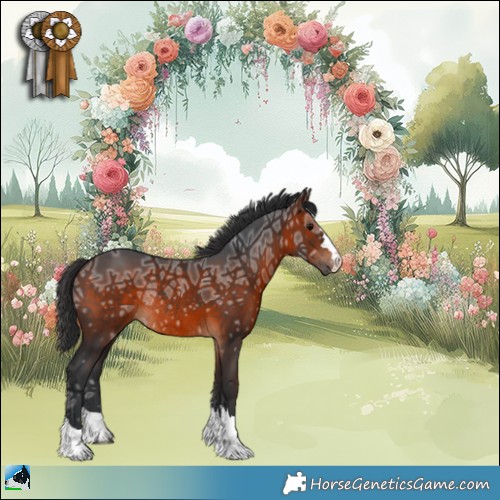 Horse Color:Brown Ice Rabicano 