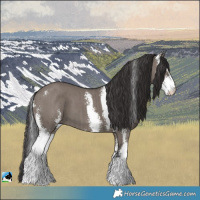 Horse Color:Smoky Grullo Mushroom Sabino Brindle 