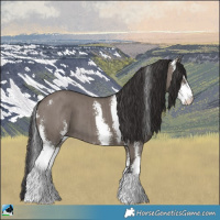 Horse Color:Smoky Grullo Mushroom Sabino Brindle 