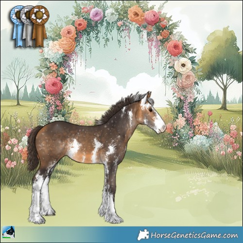 Horse Color:Buckskin Sabino Rabicano 