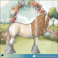 Horse Color:Buckskin Ice Pearl Sabino Rabicano 