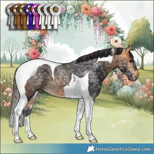 Horse Color:Buckskin Ice Tobiano 