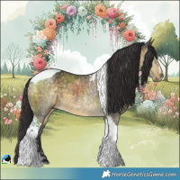 Horse Color:Buckskin Dun Tobiano Brindle 