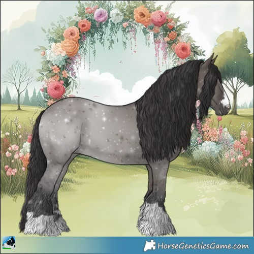 Horse Color:Smoky Grullo Mushroom Rabicano
