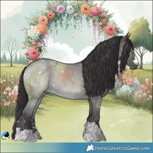 Horse Color:Smoky Grullo Mushroom Rabicano 