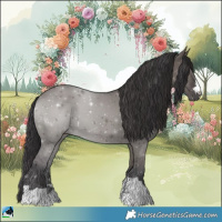 Horse Color:Smoky Grullo Mushroom Rabicano