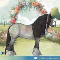 Horse Color:Smoky Grullo Mushroom Rabicano 