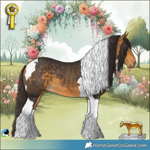 Horse Color:Buckskin Tobiano 
