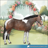 Horse Color:Bay Tobiano Rabicano 