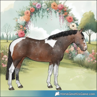 Horse Color:Bay Tobiano Rabicano