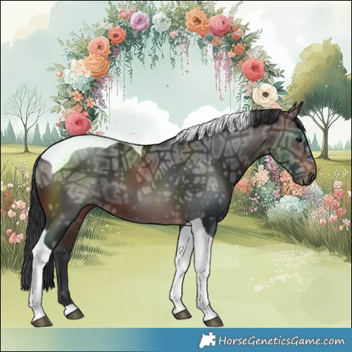 Horse Color:Brown Ice Tobiano 