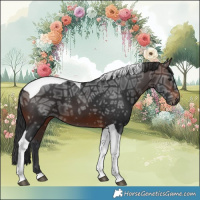 Horse Color:Brown Ice Tobiano
