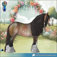 Horse Color:Bay Rabicano 