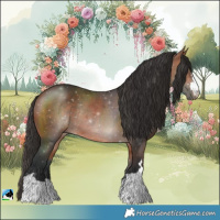 Horse Color:Bay Rabicano