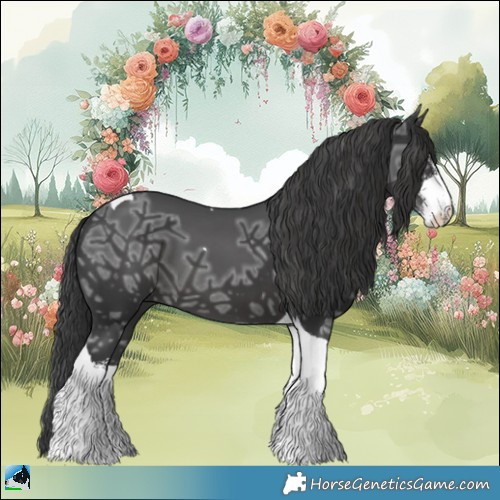 Horse Color:Black Ice Sabino Tobiano 