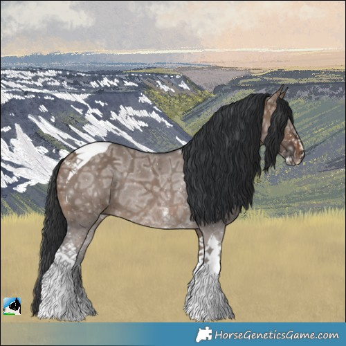 Horse Color:Brown Ice Dun Sabino Tobiano Rabicano 