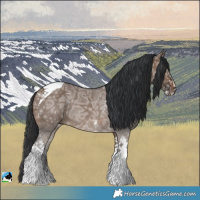 Horse Color:Brown Ice Dun Sabino Tobiano Rabicano 