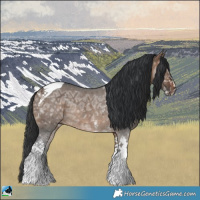 Horse Color:Brown Ice Dun Sabino Tobiano Rabicano
