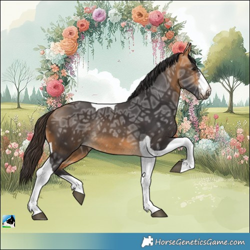 Horse Color:Buckskin Ice Tobiano Rabicano 