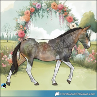 Horse Color:Buckskin Ice Tobiano Rabicano 