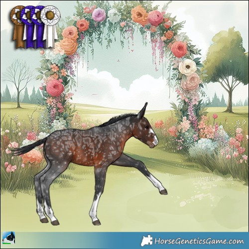 Horse Color:Brown Ice Rabicano 