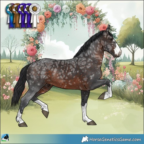 Horse Color:Brown Ice Rabicano 
