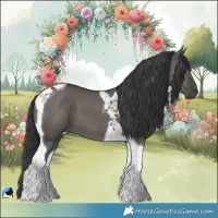 Horse Color:Grullo Tobiano 