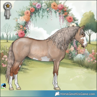 Horse Color:Red Dun Mushroom Rabicano