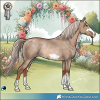 Horse Color:Red Dun Mushroom Rabicano