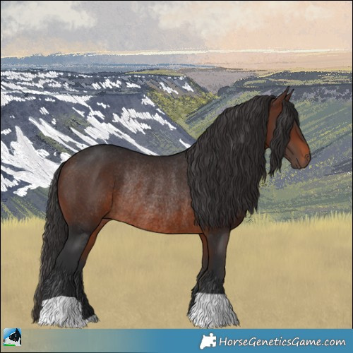 Horse Color:Brown Rabicano