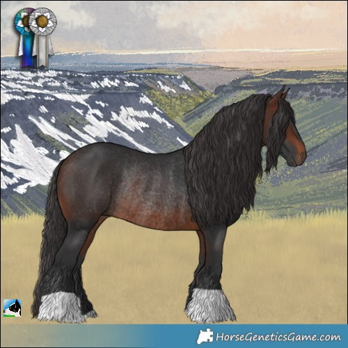 Horse Color:Brown Rabicano