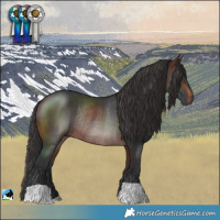 Horse Color:Brown Rabicano 