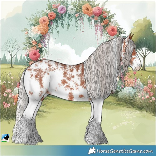 Horse Color:Silver Bay Sabino 