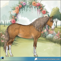 Horse Color:Chocolate Palomino Dun