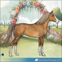 Horse Color:Chocolate Palomino Dun